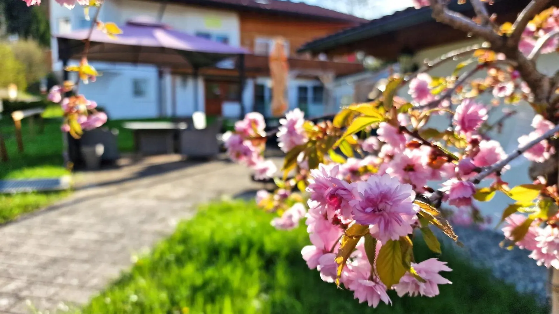 Ferienwohnung Echelsbach - Ferienwohnungen Christoph Lechner Am Zeitberg Bad Kohlgrub
